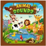 Animal Sounds for kids learning android application