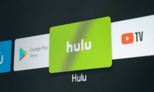 Hulu App Download for PC 2