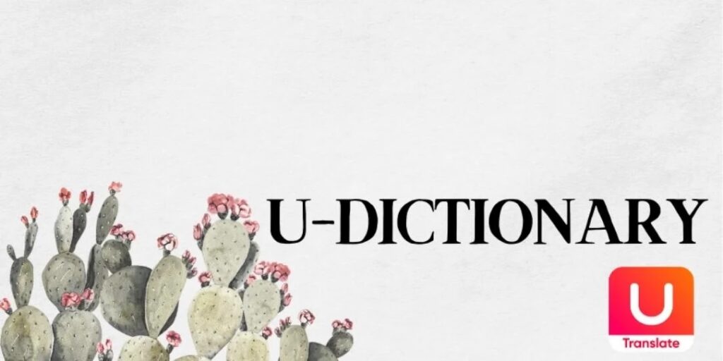 U-Dictionary for PC 3
